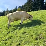 Oberbrixen Huette *