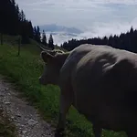 Oberbrixen Huette