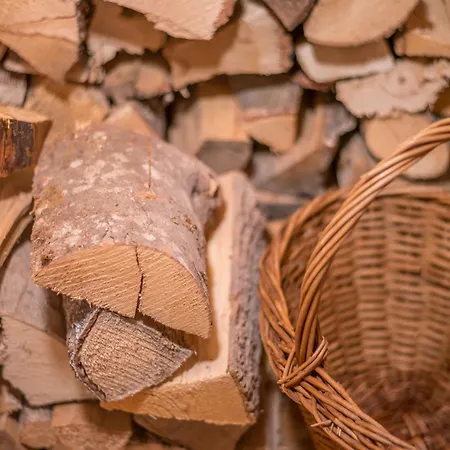 Apartment Oberbrixen Hütte Bischofshofen