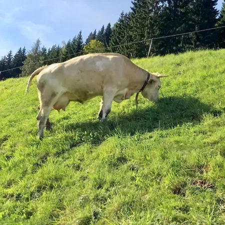 Oberbrixen Huette *