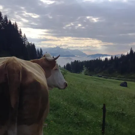 Oberbrixen Huette شقة