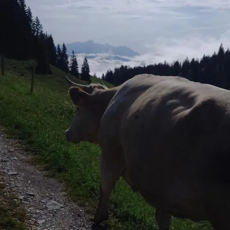 Oberbrixen Huette