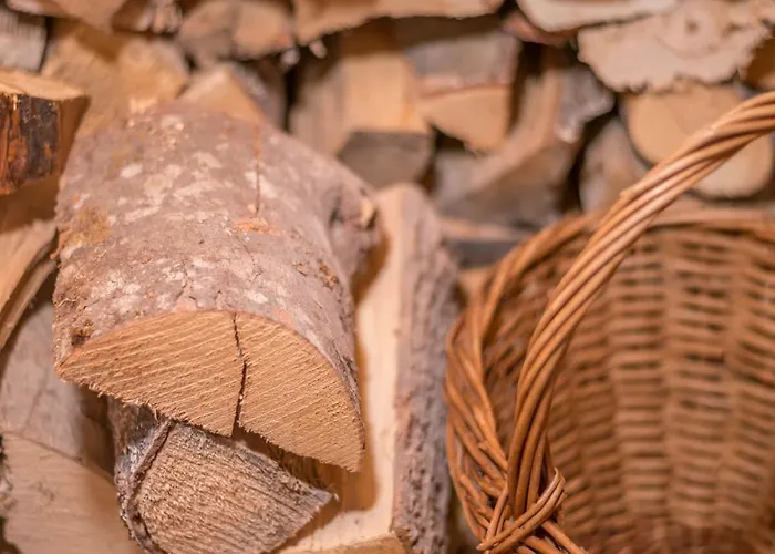 Apartment Oberbrixen Huette Bischofshofen