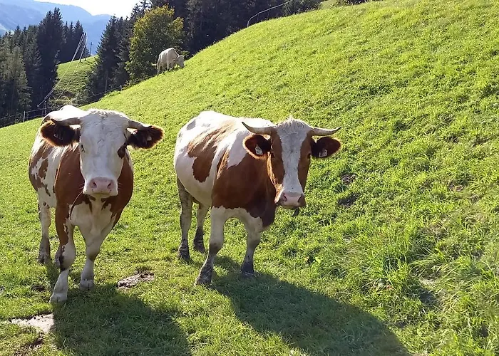 Apartment Oberbrixen Huette