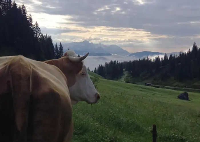 Oberbrixen Huette Apartment