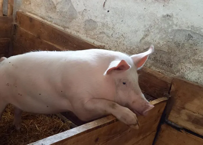 Oberbrixen Huette Apartment *